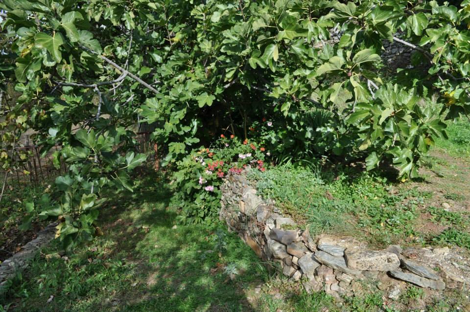 Vila Mattale Tonara Exteriér fotografie