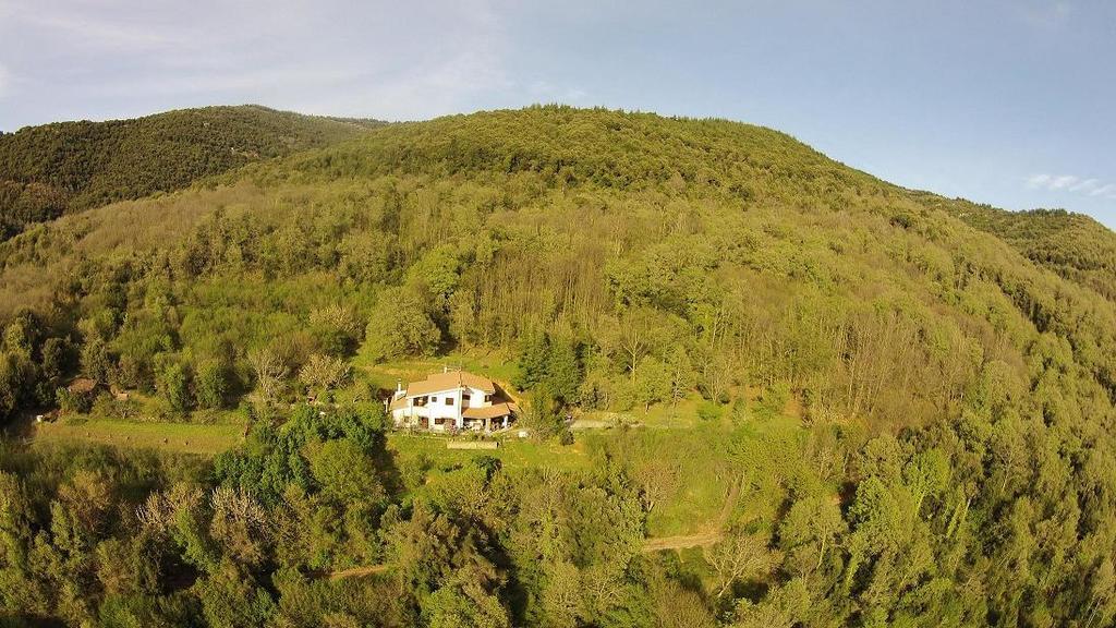 Vila Mattale Tonara Exteriér fotografie